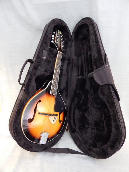 Rogue Mandolin with Case - Mint Condition
