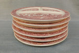 Pink Willow Divided Plates - Set of 6