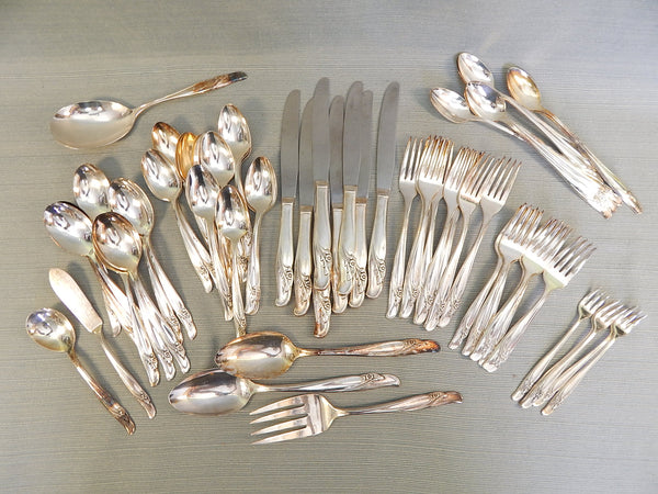 Rogers & Bros. Floral Pattern Silver-plated Flatware - 66 Pieces