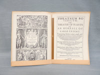Two Folios - A Fragment from One of the Great Herballs