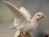 Pair of White Doves by Andrea