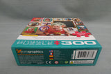 300 Piece Puzzle "Delicious Goodies" - Certified Complete