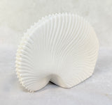 Song of the Sea Porcelain Paper Nautilus Shell Incense Holder