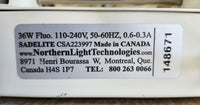Northern Light Desk Lamp