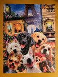 550 Piece Selfies Puzzle - Certified Complete!