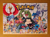 300 Piece Nintendo Pokemon Puzzle by Buffalo Games - Certified Complete!