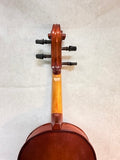 Doreli Student Violin Stradivarius Model 59