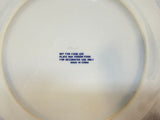 Georgia's Stone Mountain Souvenir Plate