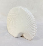 Song of the Sea Porcelain Paper Nautilus Shell Incense Holder