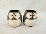 Kotobuki Owl Teapot and 2 Cups