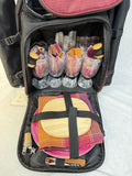 Picnic Plus Tandoor 4 Person Picnic Set Backpack