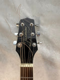 Jasmine Acoustic Guitar by Takamine