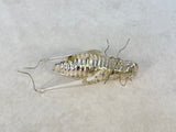 Glass Grasshopper Figurine