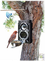 Bird Photo Booth 2.0 Feeder and Digital Camera