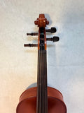 Doreli Student Violin Stradivarius Model 59