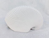 Song of the Sea Porcelain Paper Nautilus Shell Incense Holder