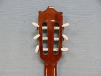 Ibanez Mini Classical Guitar