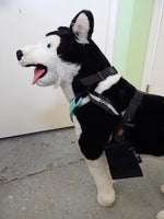 SleepyPod ClickIt Sport 3-Point Car Harness for Dogs - Medium
