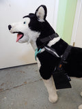 SleepyPod ClickIt Sport 3-Point Car Harness for Dogs - Medium