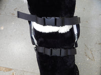 SleepyPod ClickIt Sport 3-Point Car Harness for Dogs - Medium
