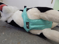 SleepyPod ClickIt Sport 3-Point Car Harness for Dogs - Medium
