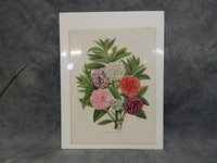 Vintage Flower Botanical Prints - Lot of 2