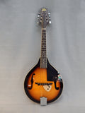 Rogue Mandolin with Case