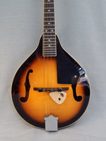 Rogue Mandolin with Case