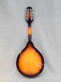 Rogue Mandolin with Case