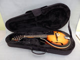 Rogue Mandolin with Case