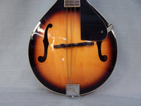 Rogue Mandolin RM-100A