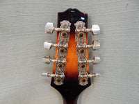 Rogue Mandolin RM-100A