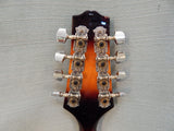 Rogue Mandolin RM-100A