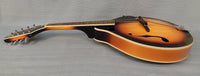 Rogue Mandolin RM-100A