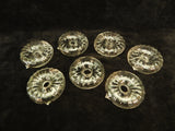 Set of 7 Floating Flower Rings