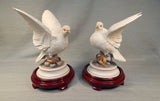 Pair of White Doves by Andrea