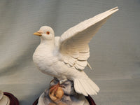 Pair of White Doves by Andrea