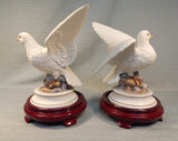 Pair of White Doves by Andrea