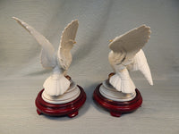 Pair of White Doves by Andrea