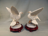 Pair of White Doves by Andrea