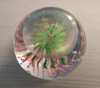 Ruby May 2003 Paperweight