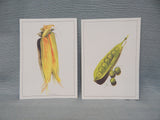 1979 Creator's Gallery Collector's Portfolio of Garden of Goodness - Set of 6 Prints