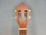 Hola! Concert HM-424SMM 24" Ukelele - Brand New!