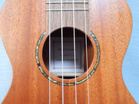 Hola! Concert HM-424SMM 24" Ukelele - Brand New!