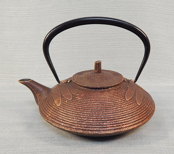 Iwachu Dragonfly Teapot