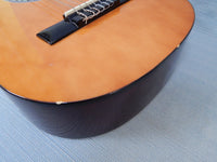 Lucida Classical Acoustic Guitar with Soft Case