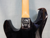Schecter Diamond Series Electric Guitar - Works!