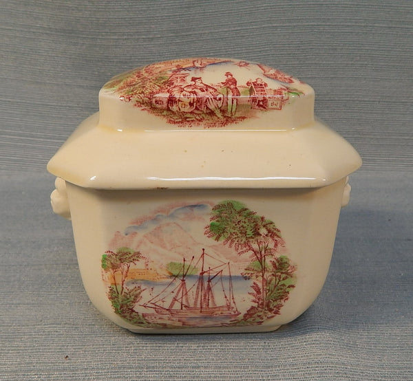 Royal Staffordshire Lidded Tea Caddy