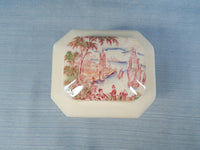 Royal Staffordshire Lidded Tea Caddy
