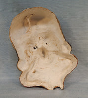 Painted Papier Maché Face Mask